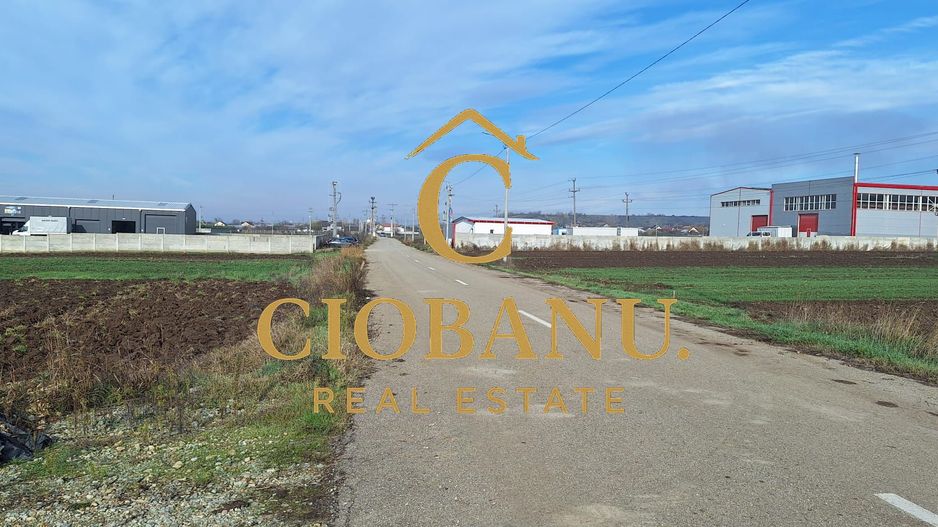 Hala de vanzare in Racari de Jos - Poză 19