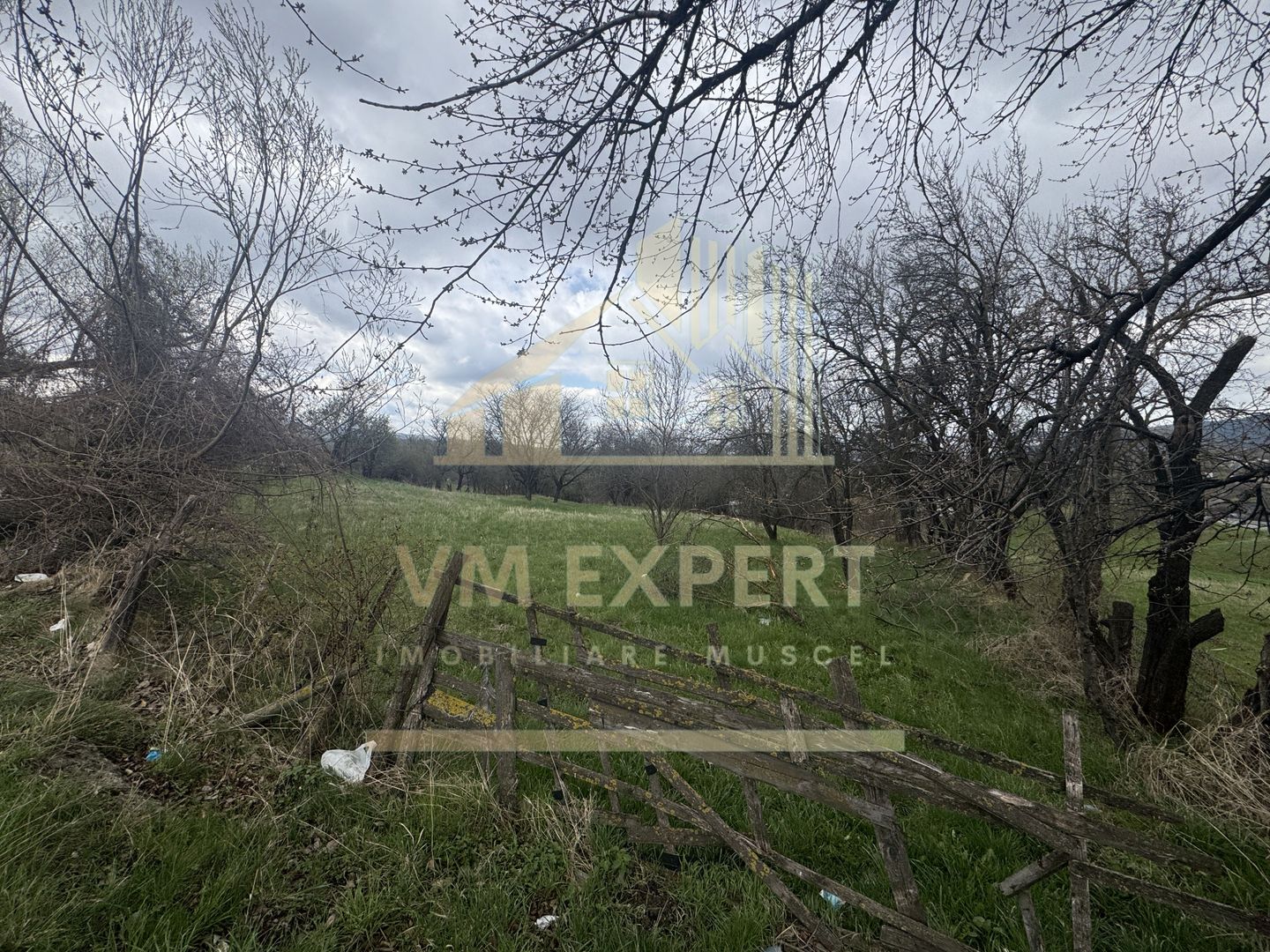 TEREN INTRAVILAN 4365 MP POENARII DE MUȘCEL  JUDEȚUL ARGES - Poză 21