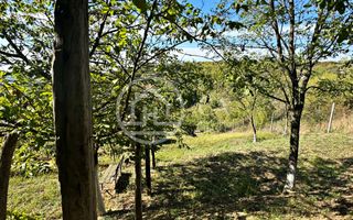 Casa de vanzare cu 3 camere in Oncea, Oradea - Poză 15