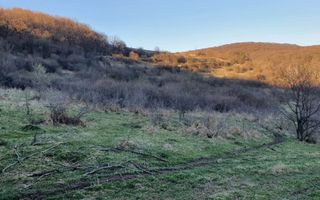 Teren 46.300 mp-zona Gușterița!! - Poză 7