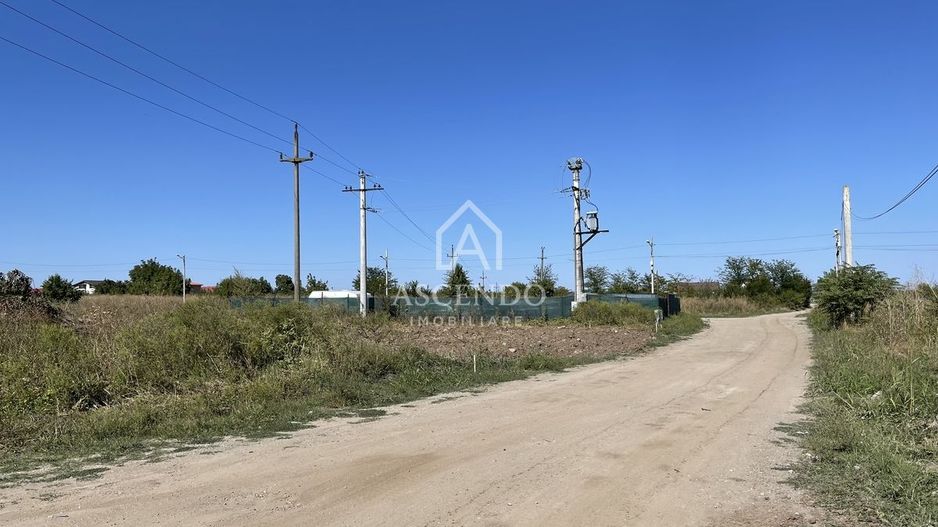 Teren Intravilan 3.000 mp Jilava  Investiție sau Rezidențial - Poză 3