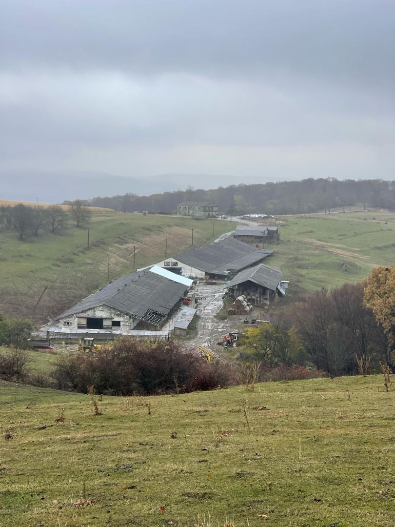Ferma cu teren de 200 hectare - Poză 6