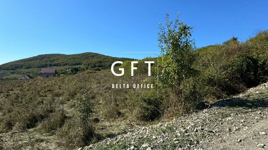 Teren de vanzare in Viisoara, 96 Ari. - Poză 2