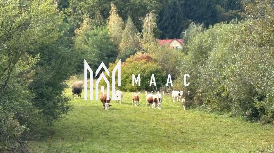 Teren intravilan | UTILITATI | 4717MP | TOCILE - Poză 2