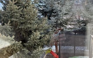 Apartament 2 camere Popas Pacurari, parcare, curte interioara - Poză 2