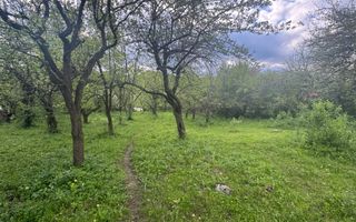 TEREN INTRAVILAN 7018 MP CAMPULUNG - Poză 16