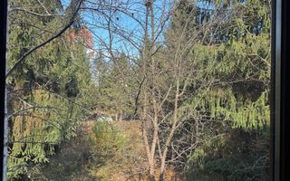 Pensiune/ Vila Valea Avrigului - Poză 18