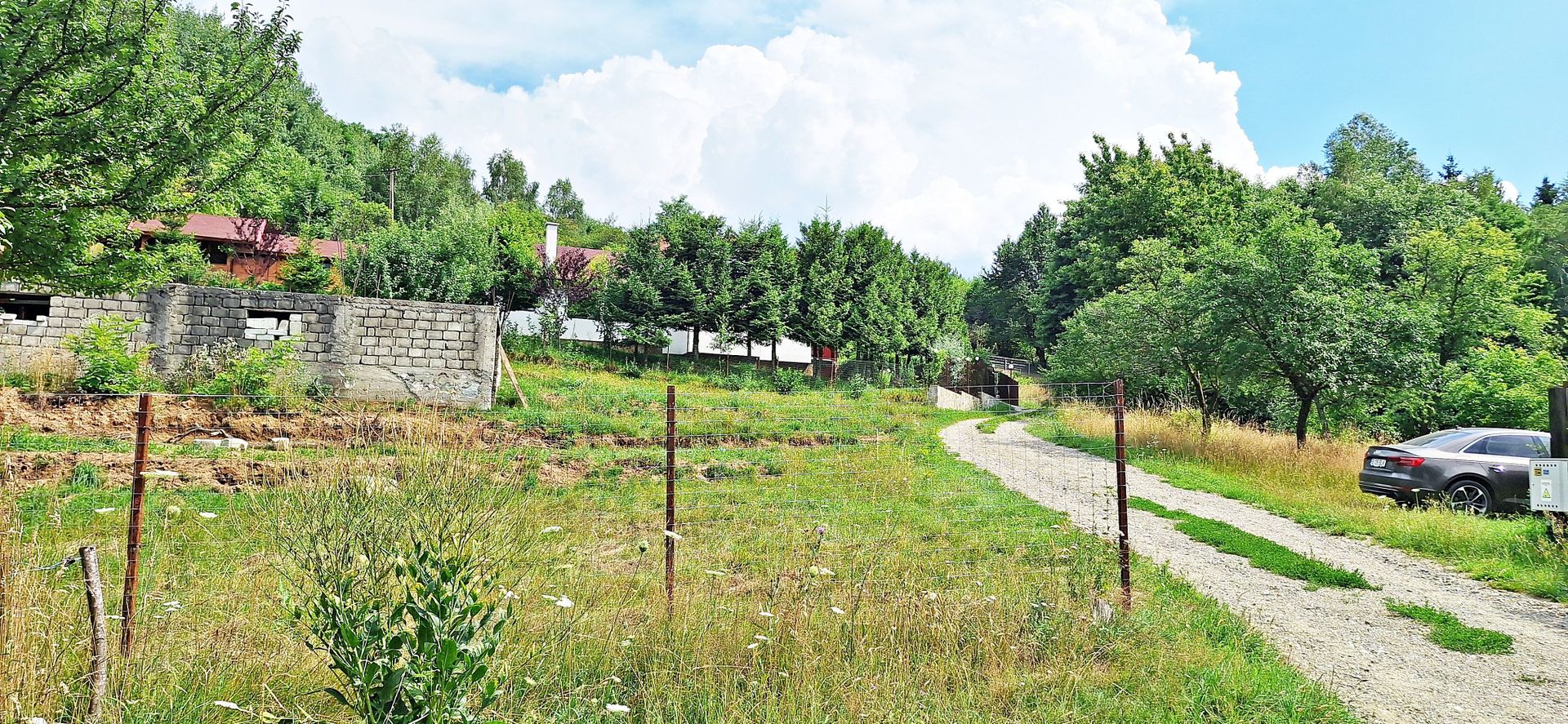 Bran- Predelut, 1000mp teren pentru casa de vacanta, pret 45 euro/mp - Poză 8