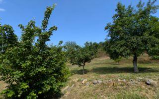 De vânzare casă în Somova, curte 1600 mp - Poză 8