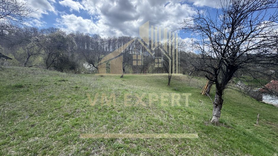 TEREN INTRAVILAN 4365 MP POENARII DE MUȘCEL  JUDEȚUL ARGES - Poză 11