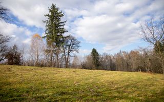 Teren intravilan, cu PUZ, Bran Tohanita,  SE ACCEPTĂ ȘI SCHIMB - Poză 22