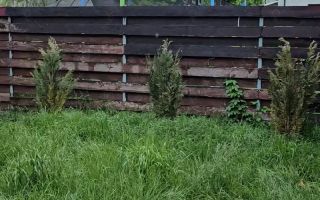 inchiriez casa 130 mp, zona Granit Iași - Poză 10