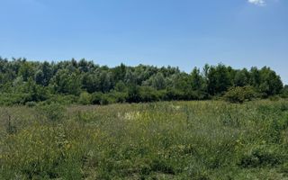 Teren intravilan 500 mp, Domnesti, str. Salciei - Poză 2