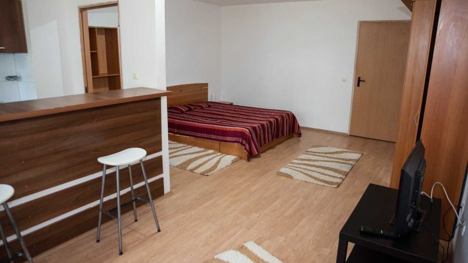 GARSONIERA COLENTINA, CENTRALA IMOBIL,MOBILAT/UTILAT MODERN,CURAT - Poză 2