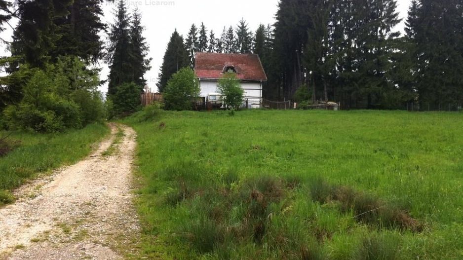 Teren intravilan Cotul Donului,pretabil Hotel/pensiune. - Poză 15