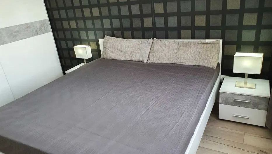 Apartament 2 camere de inchiriat Costin Georgian +loc de parcare - Poză 5