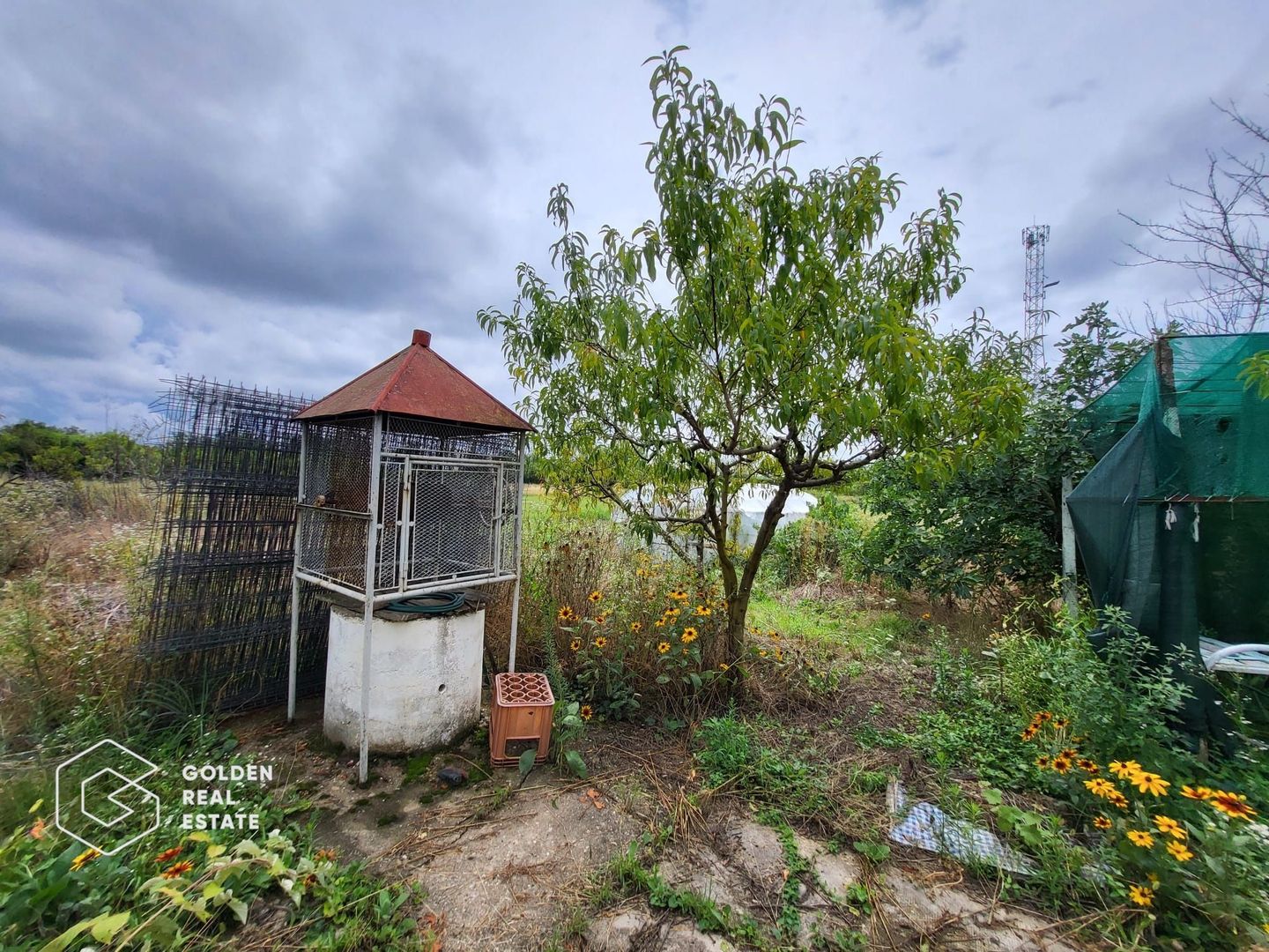 Casa cu D+P+E, 3500 mp teren, zona centrala, Paulis - Poză 20