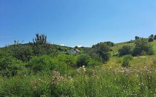 Comision 0. Teren intravilan in Salicea - Poză 4