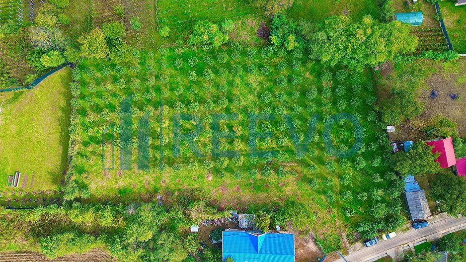 Loturi teren 1.000 mp, central, Hemeius - Poză 3