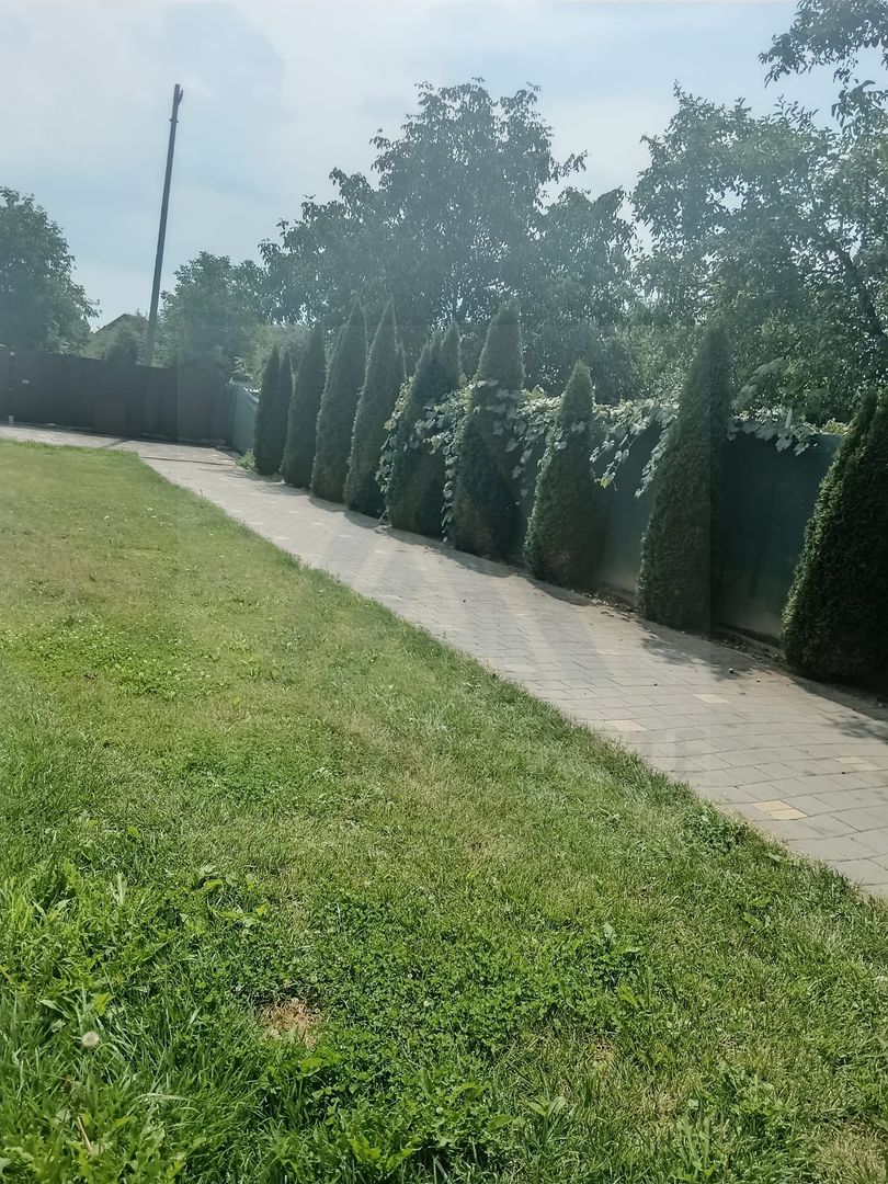 Casa individuala moderna cu 6 camere si 650 mp teren in Piata Cluj - Poză 3