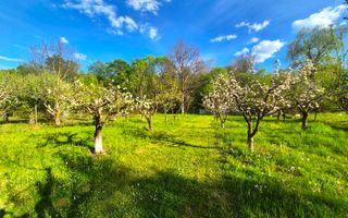 CASĂ NOUĂ ÎN STOLNA, LA 20 KM DE CLUJ-NAPOCA | 160 MP UTILI | 1.513 MP TEREN - Poză 8