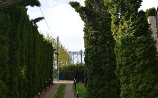 Casă/Vilă Hagigadar Suceava - Poză 56