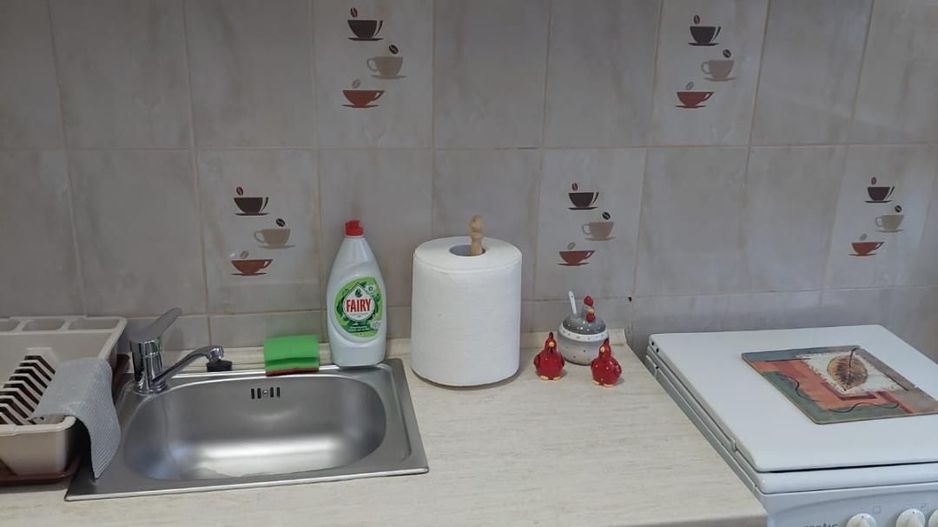 Garsoniera zona Costin Georgian - Lucretiu Patrascanu - Poză 15