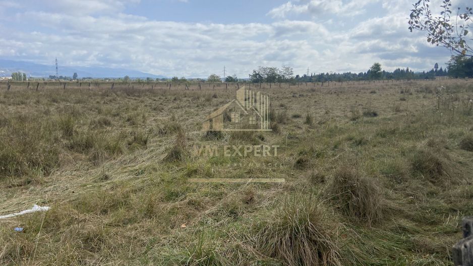 TEREN INTRAVILAN 5000 MP, GRUI, CAMPULUNG - Poză 7