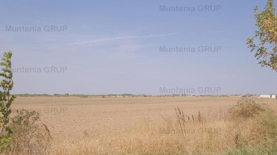 Mihailesti, vav de piscina Davinot, 57.000 mp. teren cu desch. la DN6 - Poză 9