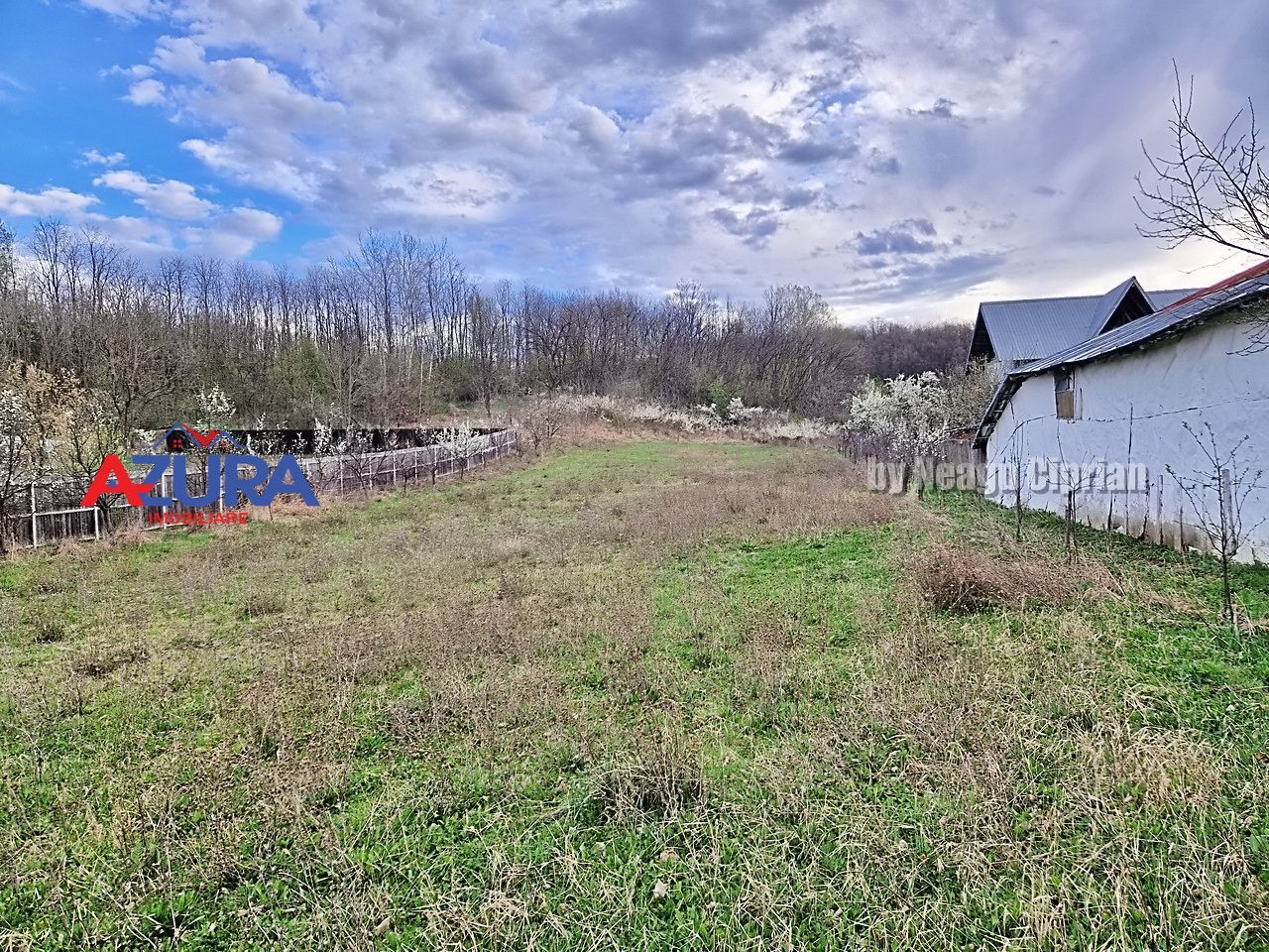 AZURA Imobiliare - Teren Babana Central Primarie - Poză 4