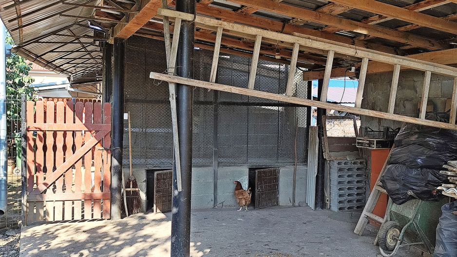 Casa la tara in Sacadat, Bihor, teren 2826 mp, acces auto - Vanzare - Poză 15