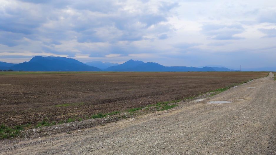 Carpinis, 10000mp-arabil, 25000Euro - Poză 5