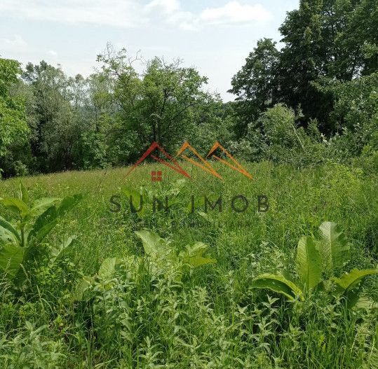 Teren 2500 mp, acces drum asfaltat, Bustenari, Telega Prahova - Poză 2