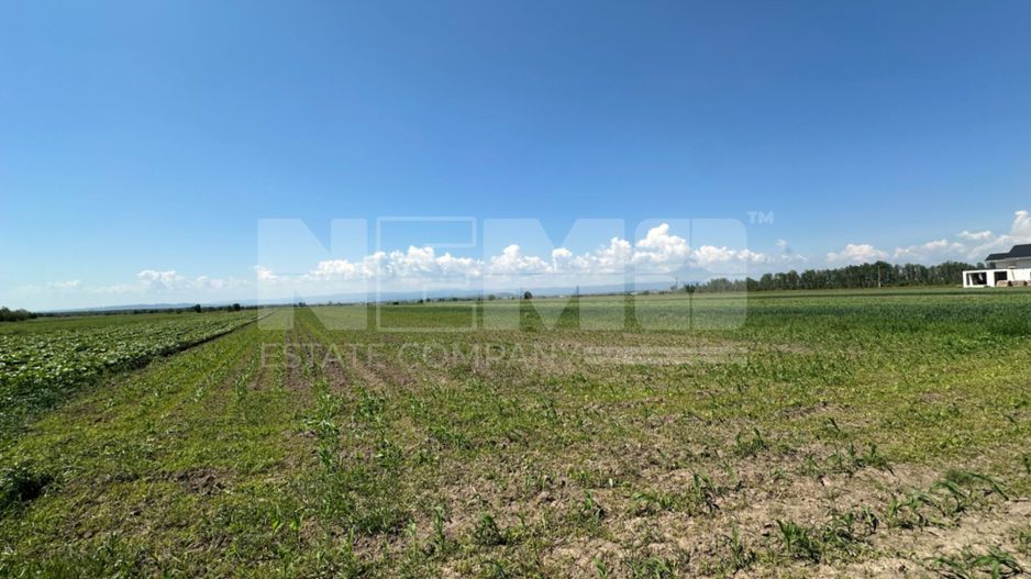 Teren Extravilan | 52 ari | Maneuti | Front 26 m | 55.500 € - Poză 9