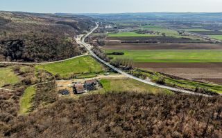 Oportunitate Investitie! Proprietate comerciala/industriala în Paulis - Poză 4