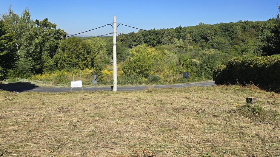 Teren cu PUZ aprobat în Făget, 2072 mp - Poză 2