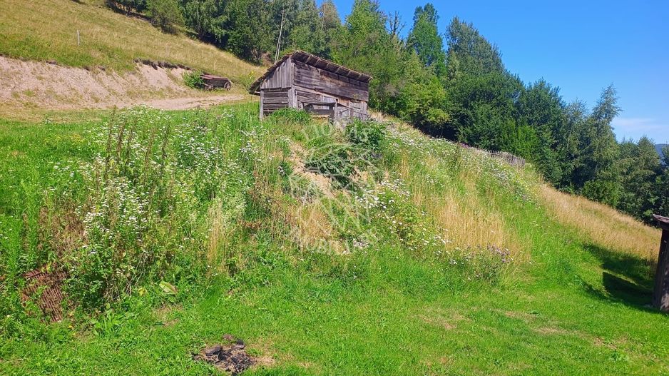 Teren extravilan investiție Rachitele Cluj - 31.555 mp - Poză 1