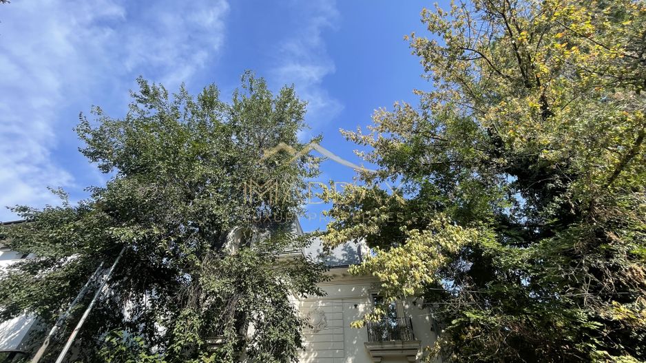 Teren Intravilan ***418mp*** posibilitate constructie S+P+2E+3ER // Floreasca - Poză 1