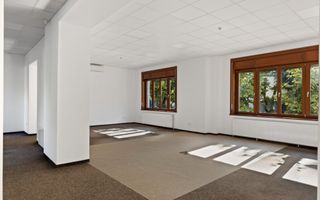ULTRACENTRAL | Spatiu Comercial | Demisol + Parter 450mp | Impecabil - Poză 6