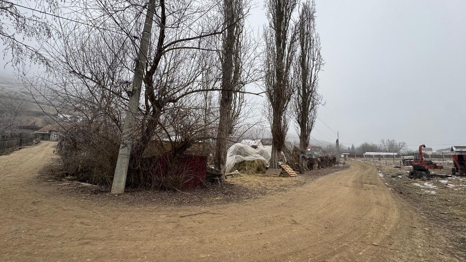 Teren de vânzare în zona Sâncraiu de Mureș - Poză 3