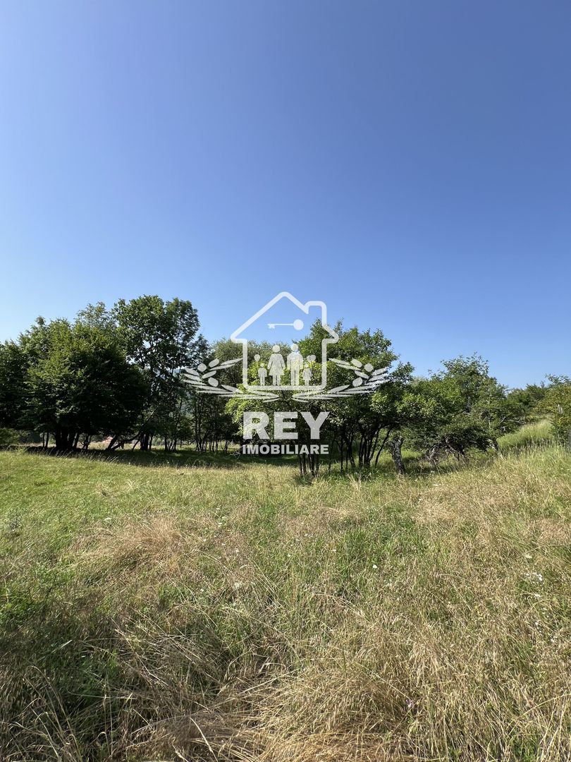 Teren de vânzare Cisnădioara - Poză 8