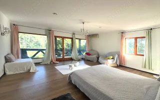 Vila unică de inchiriat ! Balteni | pe malul lacului Scrovistea - Poză 10