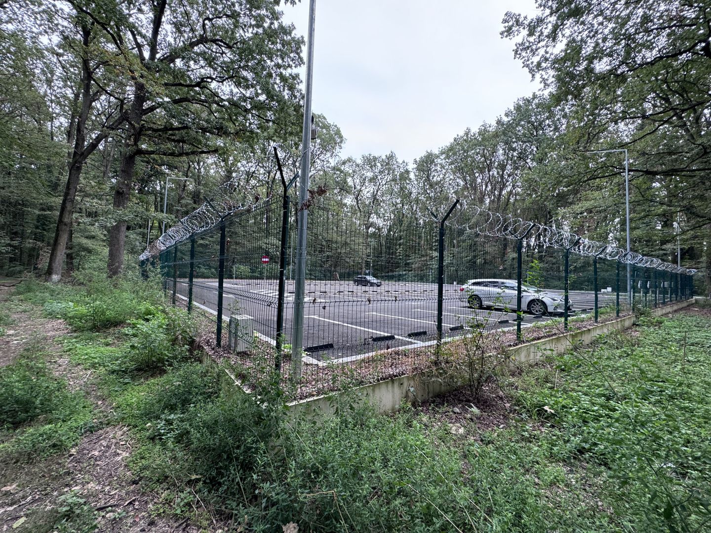 46644 mp teren in Padurea Baneasa proiect exclusivist - Poză 1