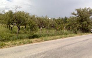 Teren intravilan si livada Draghici