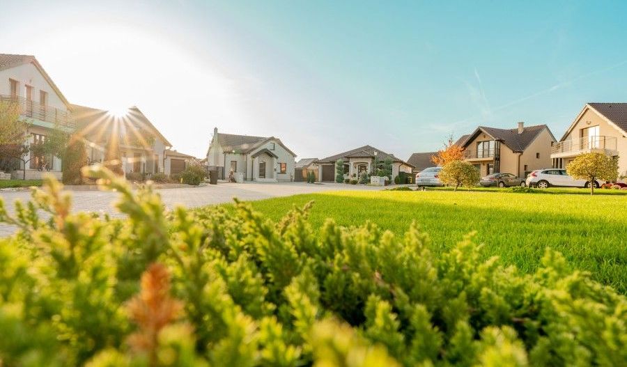 De vanzare parcele de teren, 823 mp, Westfield Arad - Poză 3