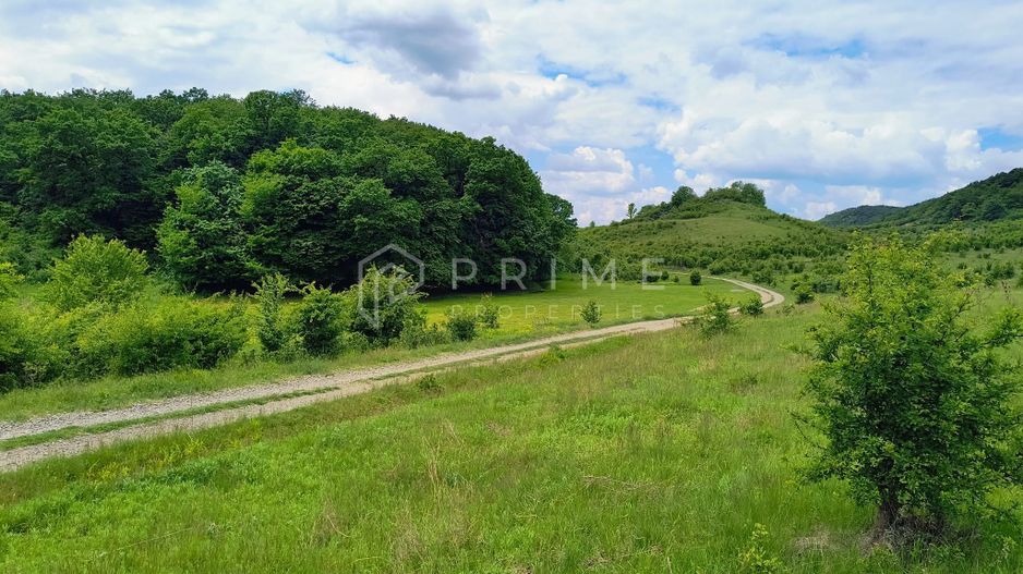 Oportunitate de investiție – 4 parcele în Corunca, 20 €/mp - Poză 4