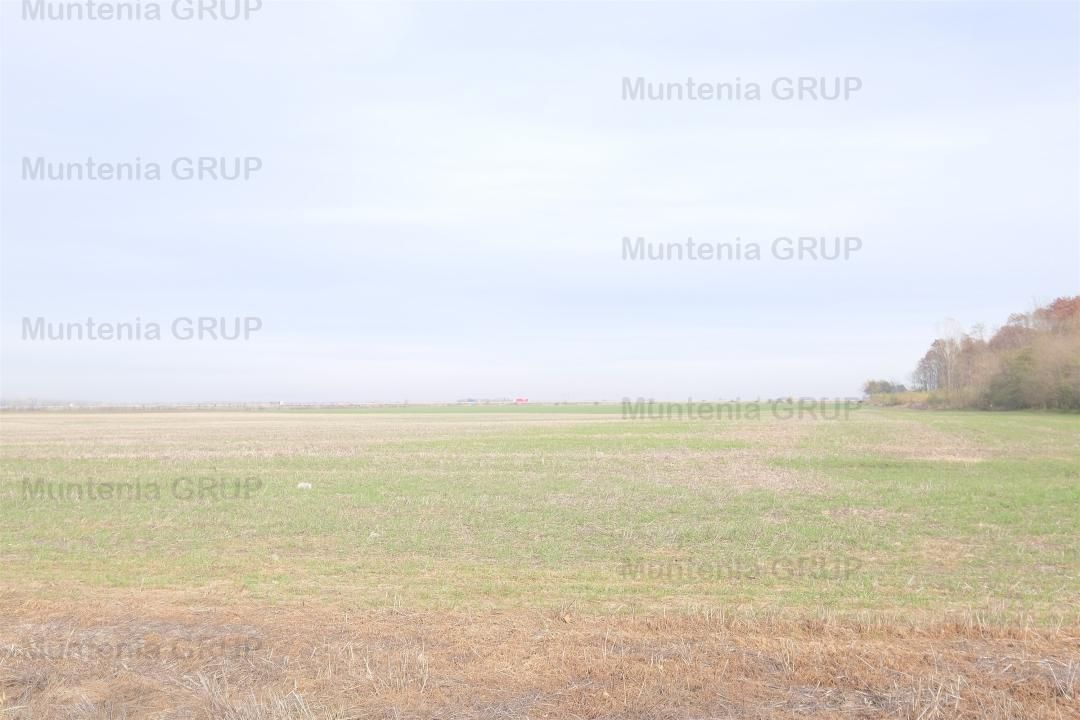 Unicat ! A3 Gherghita - 27 Ha. teren intravilan cu PUZ aprobat - Poză 4