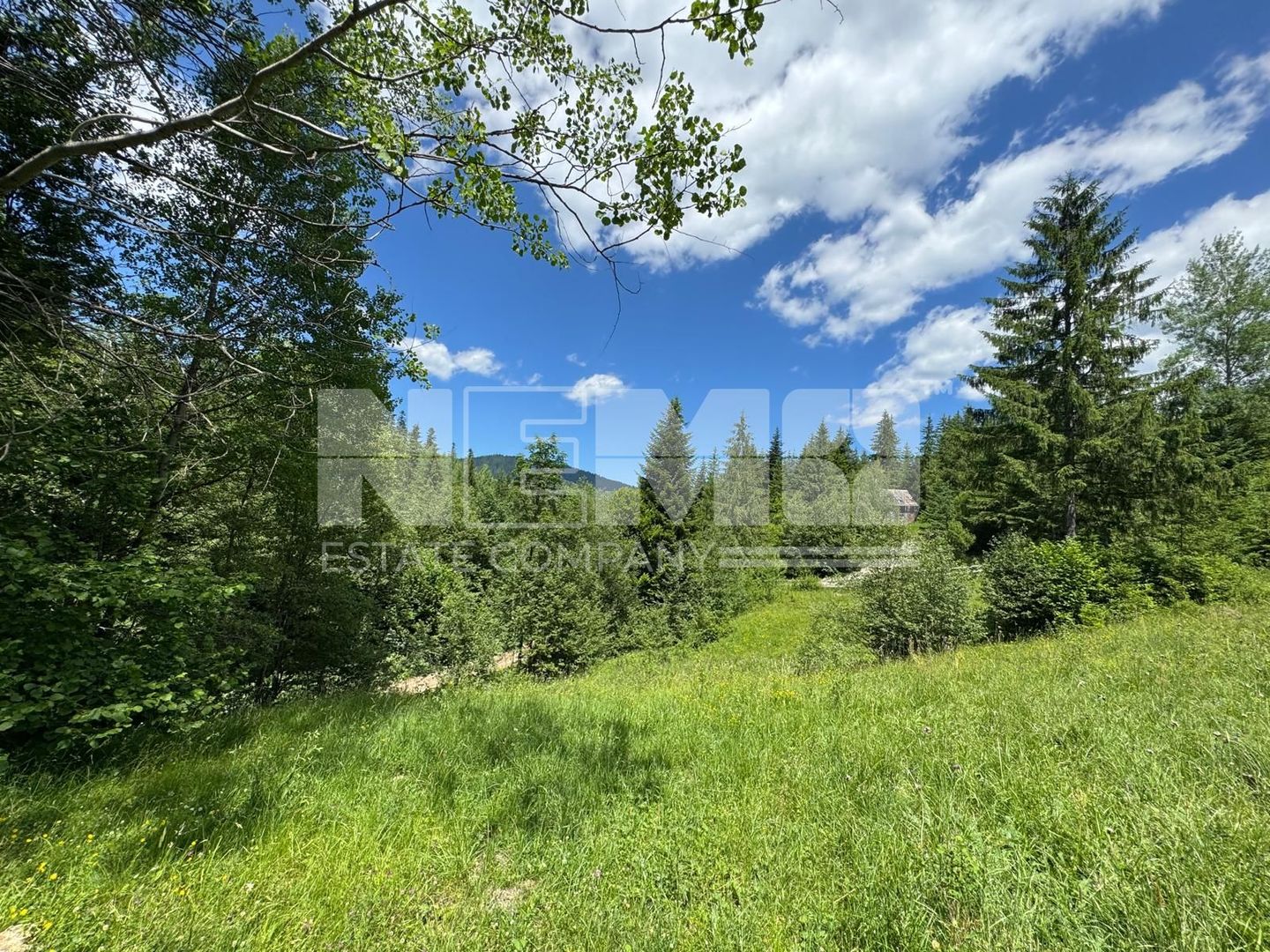 TEREN EXTRAVILAN DE VANZARE | CAMPULUNG MOLDOVENESC | 258.720€ - Poză 2