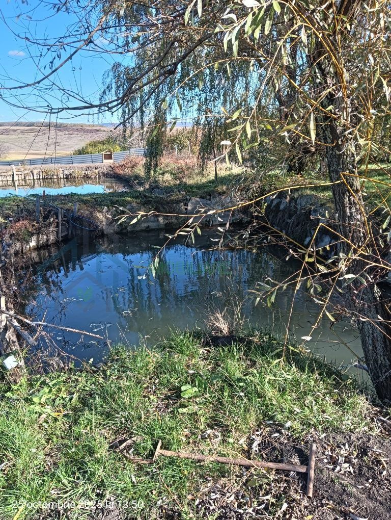 2 iazuri de vanzare - Poză 2