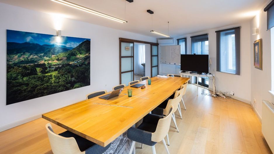 Vila spatioasa | Zona Domenii - Poză 2